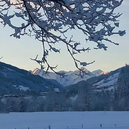 Nussbaum * Jochberg