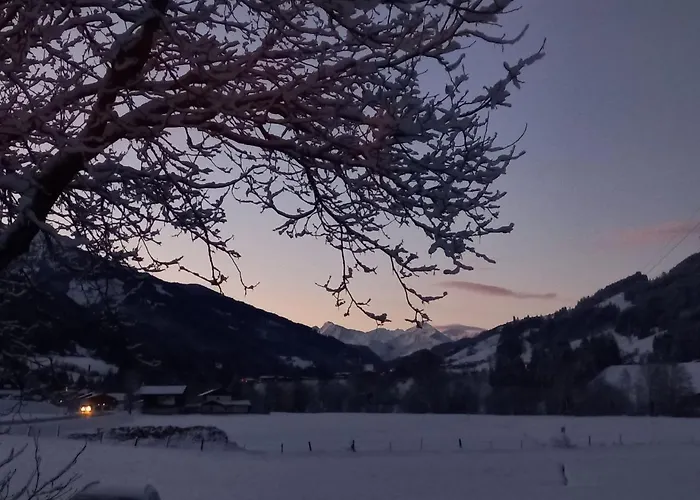 Nussbaum יואכברג