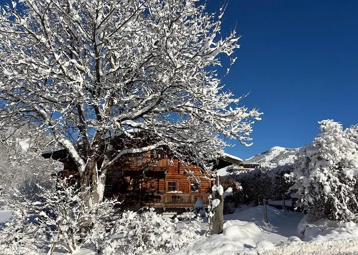 Nussbaum * יואכברג